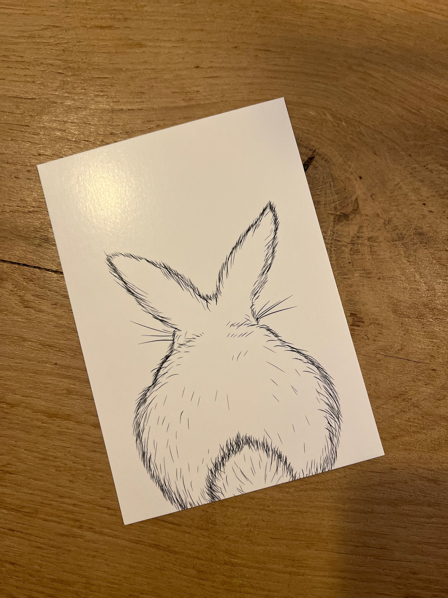 Postkarte Hase
