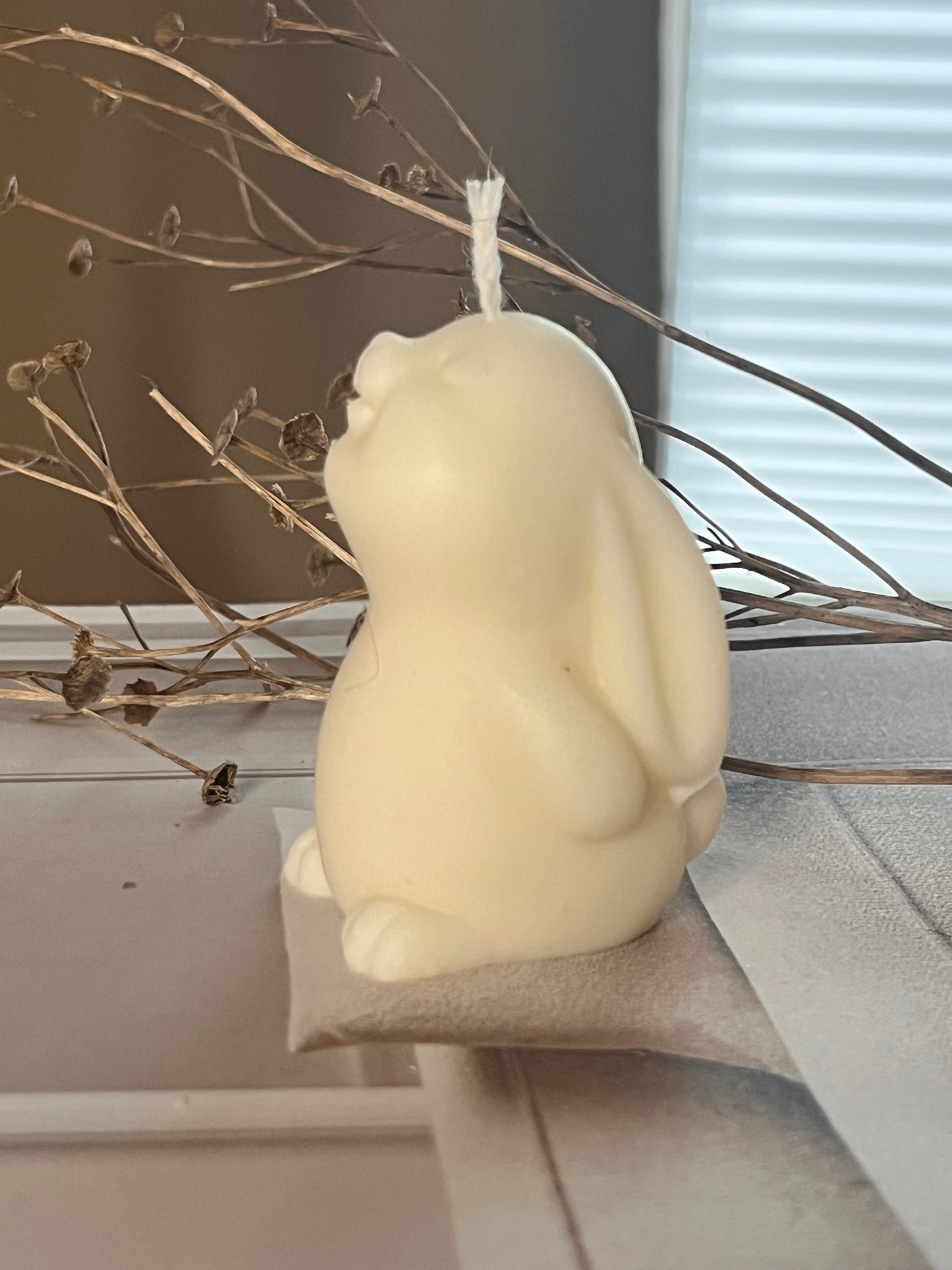Hase klein