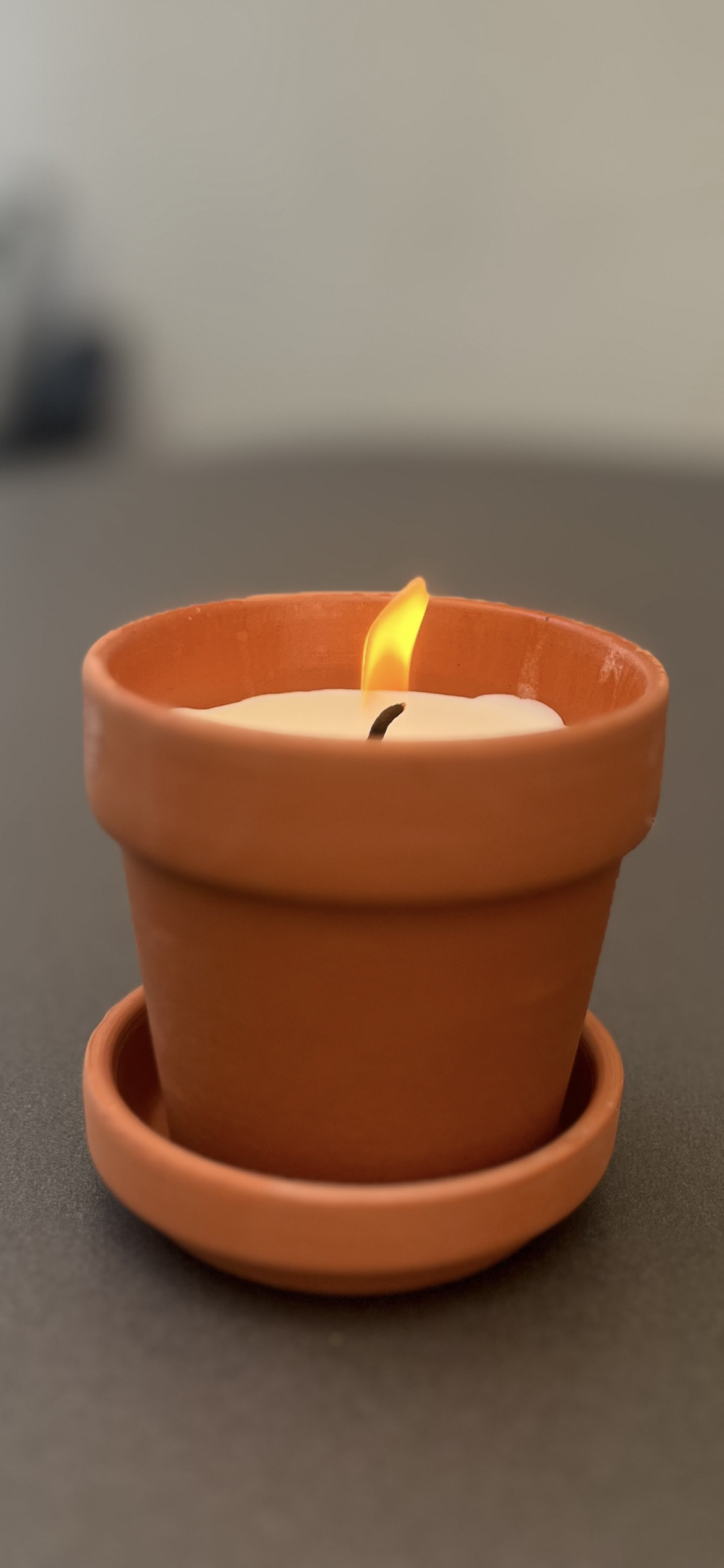 Terrakotta-Töpfe Mücken frei