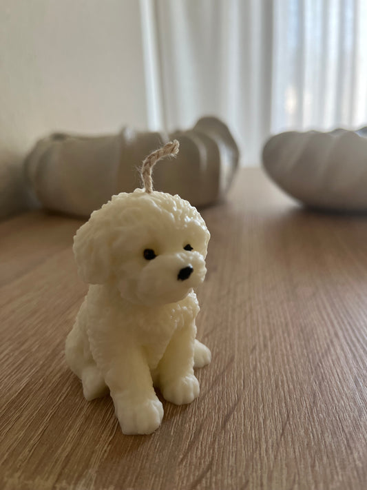Hund klein