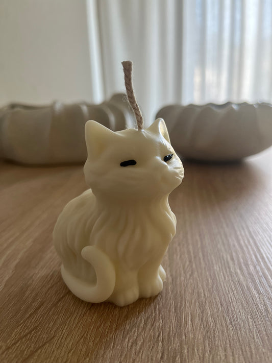Katze