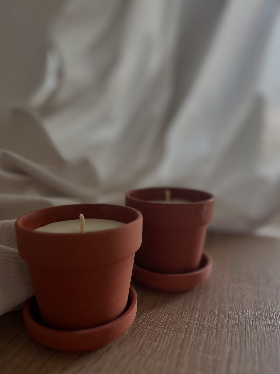 Terrakotta-Töpfe Mücken frei